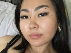 Model Recent Snapshot