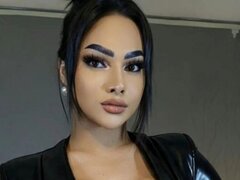 Model Recent Snapshot