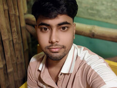 Model Recent Snapshot