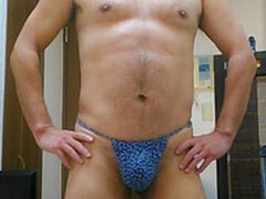 Model Recent Snapshot