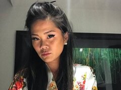 Model Recent Snapshot