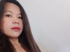Model Recent Snapshot