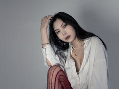 Model Recent Snapshot