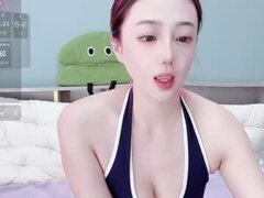 Model Recent Snapshot
