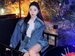 Model Recent Snapshot