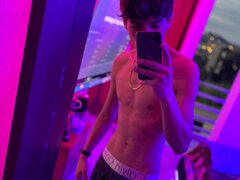 Model Recent Snapshot