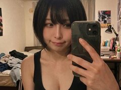 Model Recent Snapshot