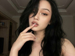 Model Recent Snapshot