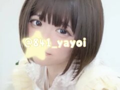 Model Recent Snapshot