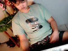 Model Recent Snapshot