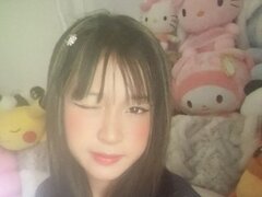 Model Recent Snapshot
