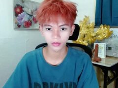 Model Recent Snapshot