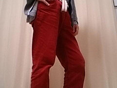 Model Recent Snapshot
