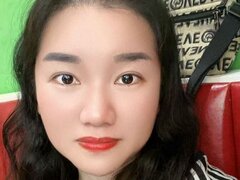 Model Recent Snapshot