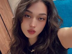 Model Recent Snapshot