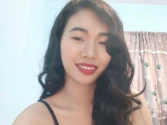 Model Recent Snapshot
