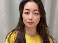 Model Recent Snapshot