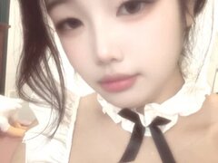 Model Recent Snapshot
