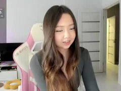 Model Recent Snapshot