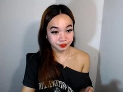 Model Recent Snapshot