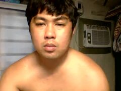 Model Recent Snapshot