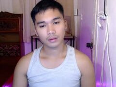 Model Recent Snapshot