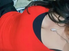 Model Recent Snapshot