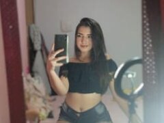 Model Recent Snapshot