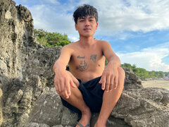 Model Recent Snapshot