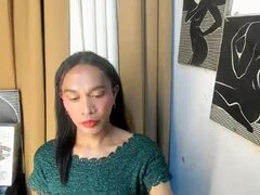 Model Recent Snapshot
