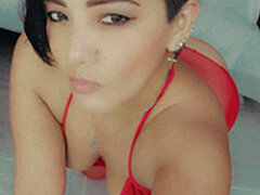 Model Recent Snapshot