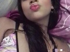 Model Recent Snapshot