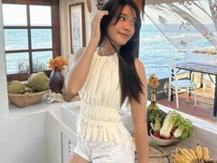 Model Recent Snapshot