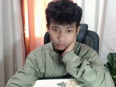 Model Recent Snapshot