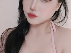 Model Recent Snapshot