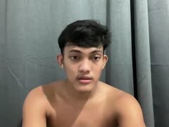 Model Recent Snapshot