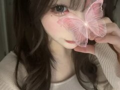 Model Recent Snapshot