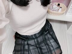 Model Recent Snapshot