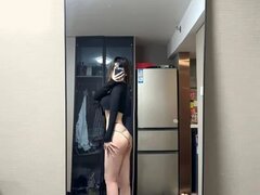 Model Recent Snapshot