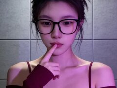 Model Recent Snapshot