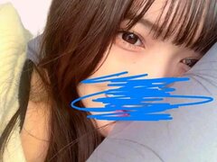Model Recent Snapshot
