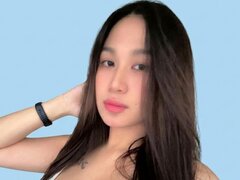 Model Recent Snapshot