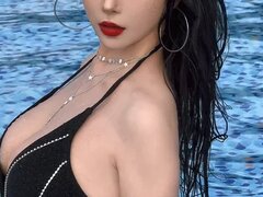 Model Recent Snapshot