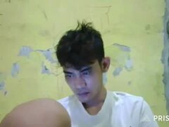 Model Recent Snapshot