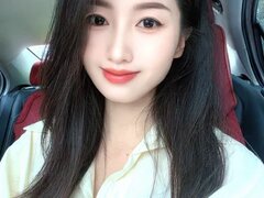 Model Recent Snapshot