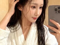 Model Recent Snapshot