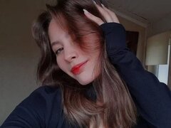 Model Recent Snapshot