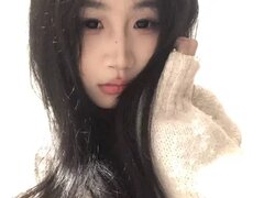 Model Recent Snapshot