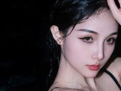 Model Recent Snapshot