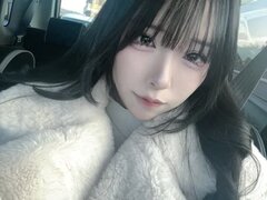 Model Recent Snapshot